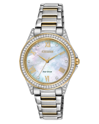 POV - Ladies Eco-Drive 