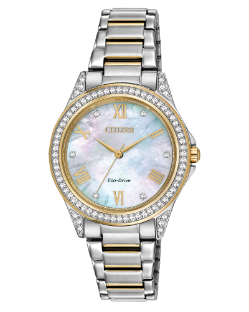 POV - Ladies Eco-Drive 